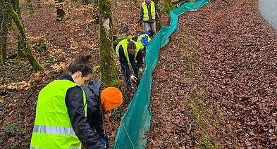 Les grenouilles, tritons, salamandres et crapauds ont besoin de vous !