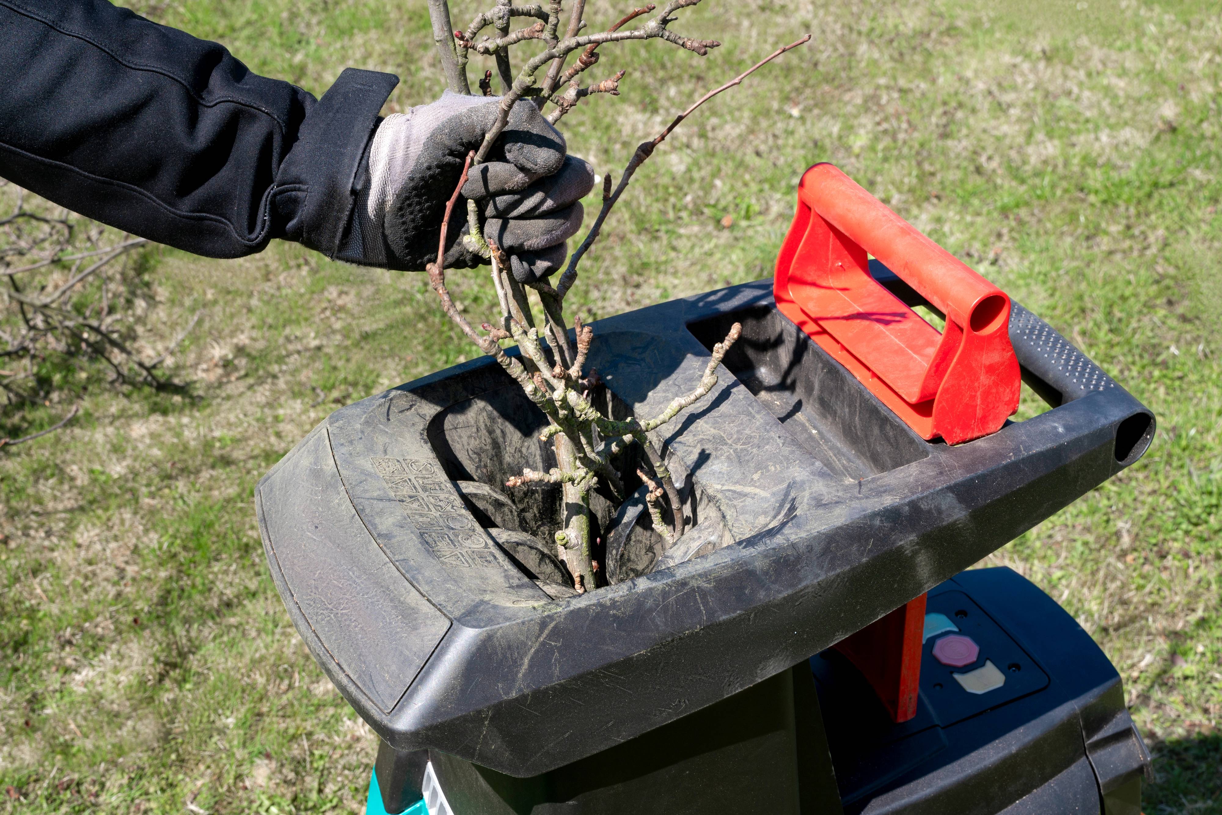 Déchets verts : des solutions simples pour un jardin plus responsable